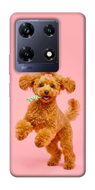 Чохол itsPrint Happy poodle для Infinix Note 30 Pro, песики, купити оптом з доставкою