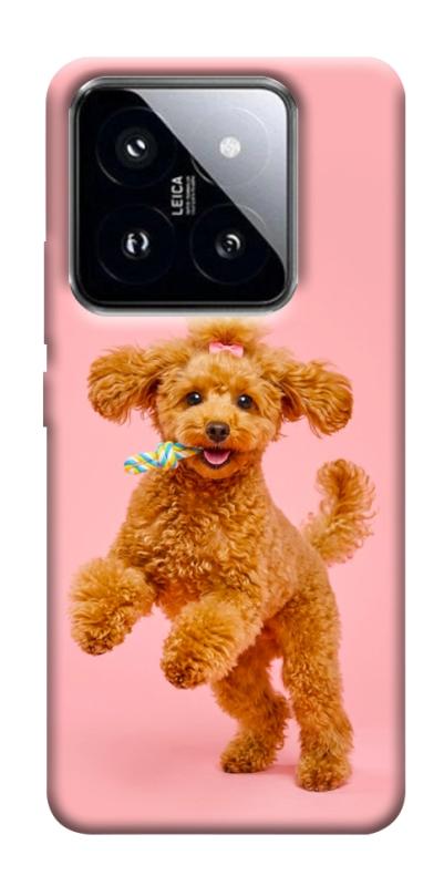 Чехол itsPrint Happy poodle для Xiaomi 14 Pro, песики, купить оптом с доставкой
