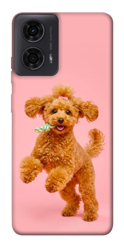 Чехол itsPrint Happy poodle для Motorola Moto G24, песики, купить оптом с доставкой