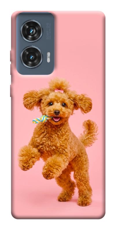 Чехол itsPrint Happy poodle для Motorola Edge 50 Fusion, песики, купить оптом с доставкой