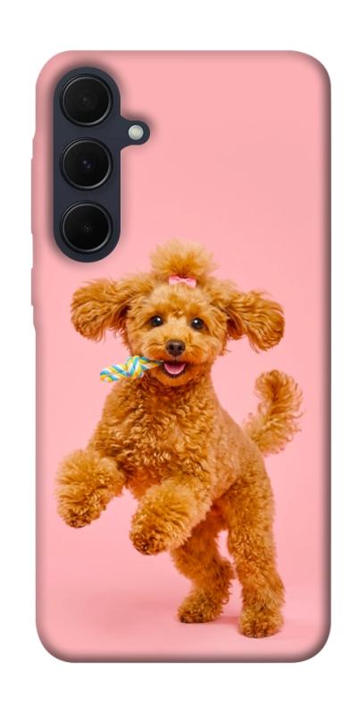 Чохол itsPrint Happy poodle для Samsung Galaxy A35, песики, купити оптом з доставкою
