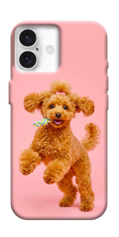 Чохол itsPrint Happy poodle для Apple iPhone 16 (6.1"), песики, купити оптом з доставкою