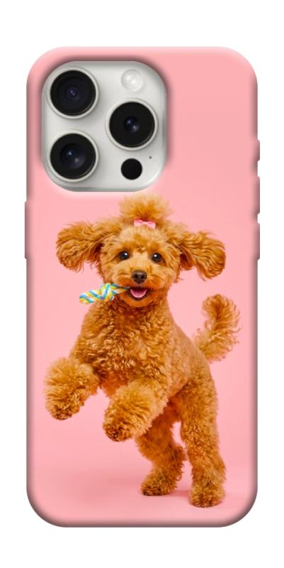Чохол itsPrint Happy poodle для Apple iPhone 16 Pro Max (6.9"), песики, купити оптом з доставкою