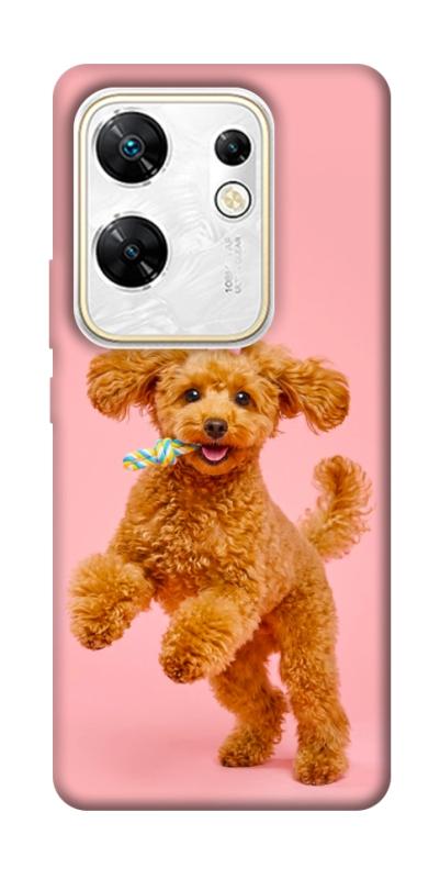 Чохол itsPrint Happy poodle для Infinix Zero 30 4G, песики, купити оптом з доставкою