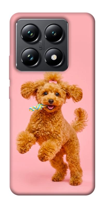 Чохол itsPrint Happy poodle для Xiaomi 14T Pro, песики, купити оптом з доставкою