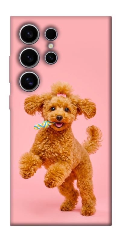 Чохол itsPrint Happy poodle для Samsung Galaxy S25 Ultra, песики, купити оптом з доставкою