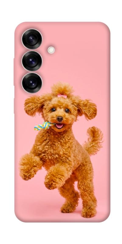 Чохол itsPrint Happy poodle для Samsung Galaxy S25, песики, купити оптом з доставкою