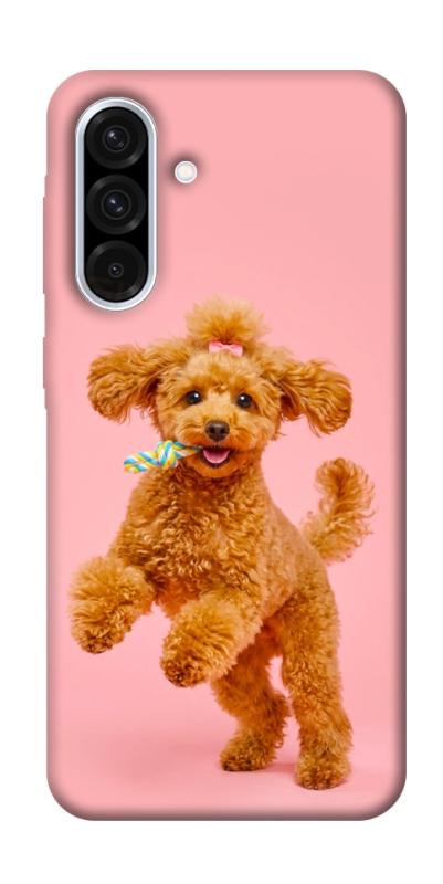 Чохол itsPrint Happy poodle для Samsung Galaxy A36 5G, песики, купити оптом з доставкою