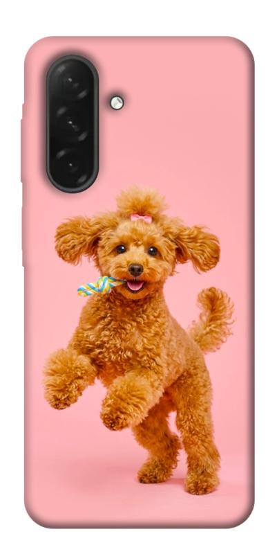 Чохол itsPrint Happy poodle для Samsung Galaxy A26 5G, песики, купити оптом з доставкою