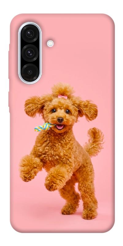 Чохол itsPrint Happy poodle для Samsung Galaxy A56 5G, песики, купити оптом з доставкою
