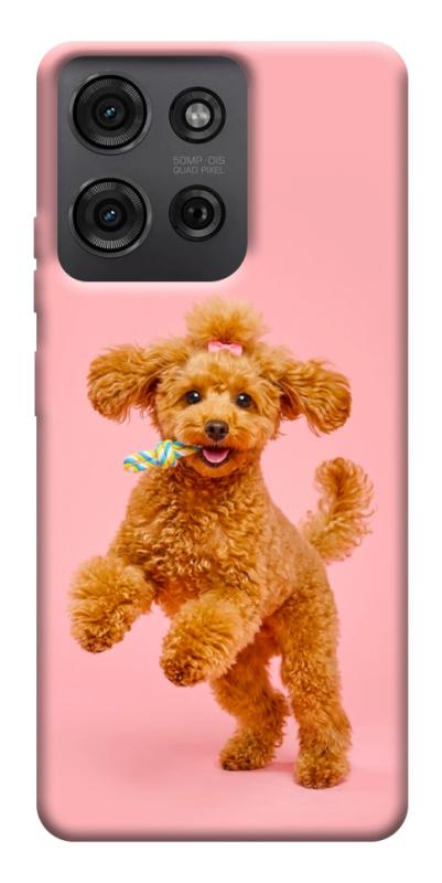 Чохол itsPrint Happy poodle для Motorola Moto G75 5G, песики, купити оптом з доставкою