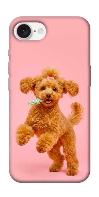 Чохол itsPrint Happy poodle для Apple iPhone 16e (6.1"), песики, купити оптом з доставкою
