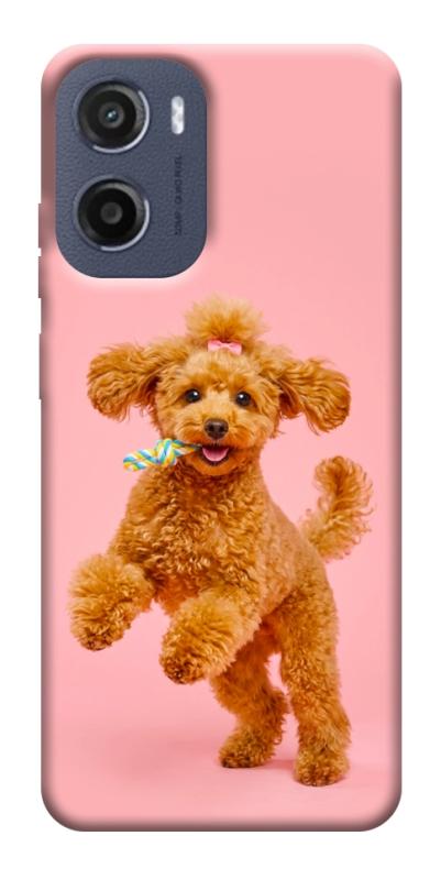 Чехол itsPrint Happy poodle для Motorola Moto G05, песики, купить оптом с доставкой