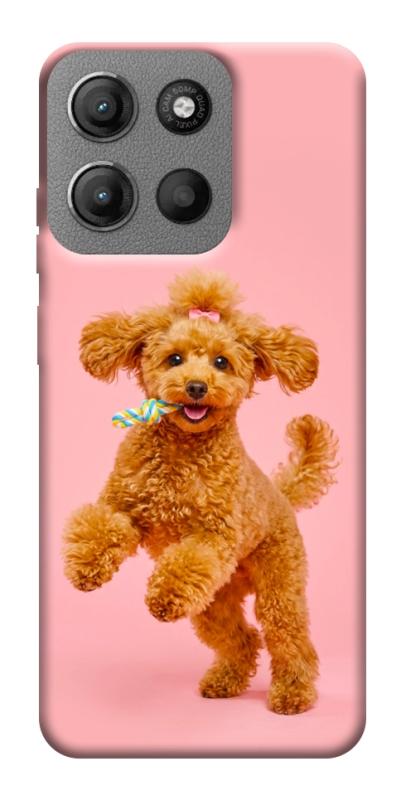 Чехол itsPrint Happy poodle для Motorola Moto G15 4G, песики, купить оптом с доставкой