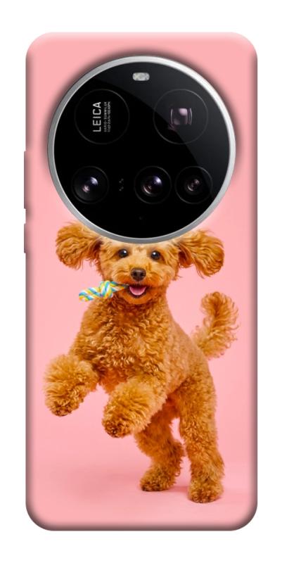 Чохол itsPrint Happy poodle для Xiaomi 15 Ultra, песики, купити оптом з доставкою