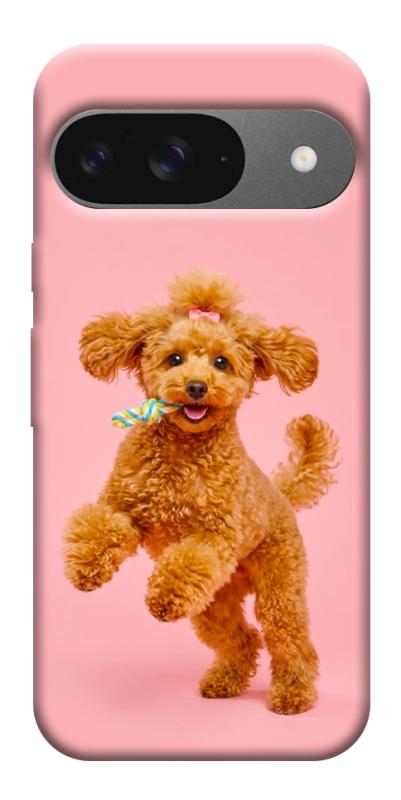 Чехол itsPrint Happy poodle для Google Pixel 10, песики, купить оптом с доставкой