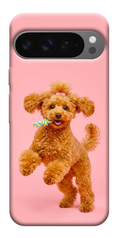Чехол itsPrint Happy poodle для Google Pixel 10 Pro XL, песики, купить оптом с доставкой