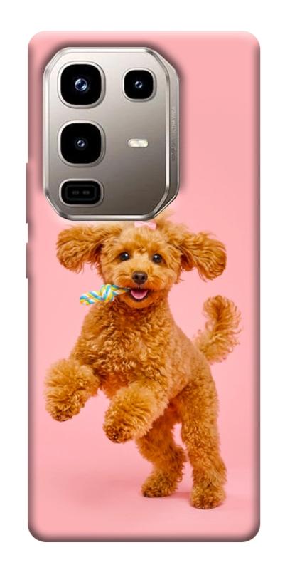 Чохол itsPrint Happy poodle для Infinix Note 50 Pro 4G, песики, купити оптом з доставкою