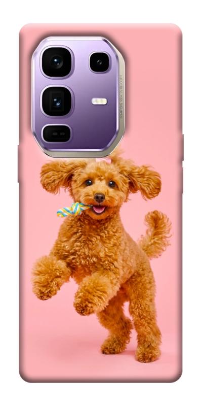 Чохол itsPrint Happy poodle для Infinix Note 50 Pro+, песики, купити оптом з доставкою