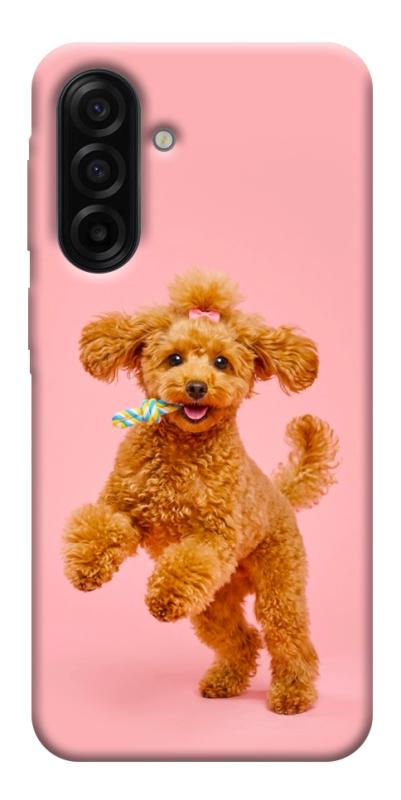Чехол itsPrint Happy poodle для Samsung Galaxy A17 5G/4G, песики, купить оптом с доставкой