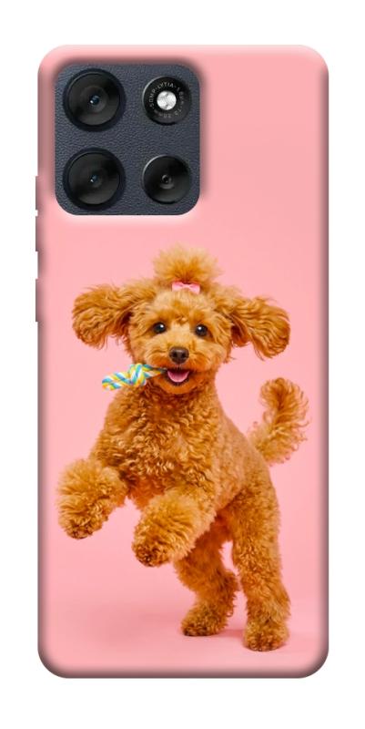 Чехол itsPrint Happy poodle для Motorola Moto G56 5G, песики, купить оптом с доставкой