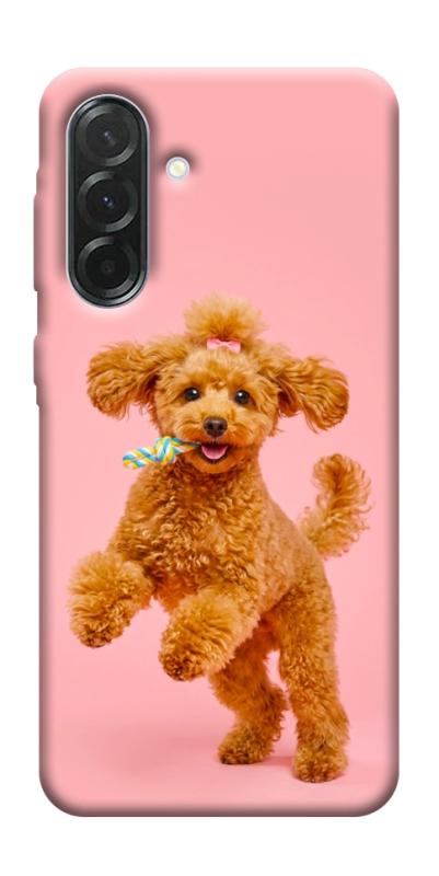 Чехол itsPrint Happy poodle для Samsung Galaxy A57 5G, песики, купить оптом с доставкой