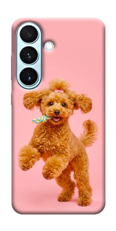 Чехол itsPrint Happy poodle для Samsung Galaxy S26, песики, купить оптом с доставкой