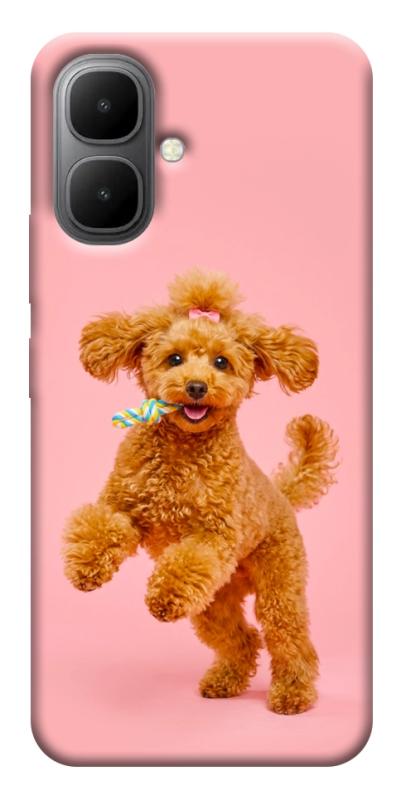 Чохол itsPrint Happy poodle для Infinix Smart 10, песики, купити оптом з доставкою