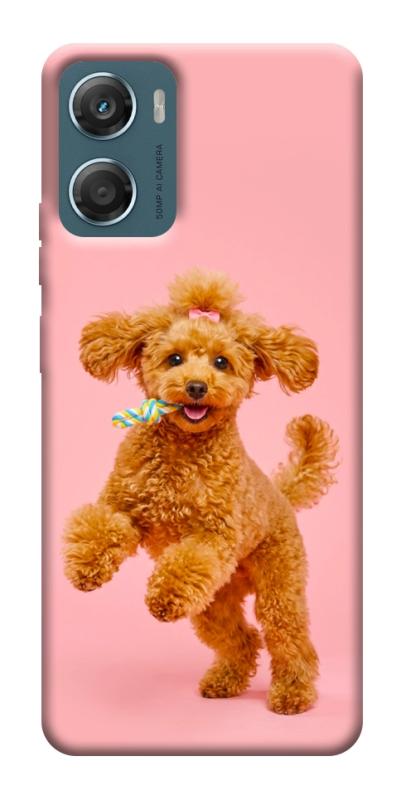 Чехол itsPrint Happy poodle для Motorola Moto G06, песики, купить оптом с доставкой