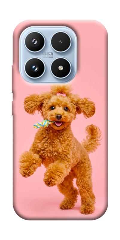 Чехол itsPrint Happy poodle для Xiaomi 17 Pro, песики, купить оптом с доставкой