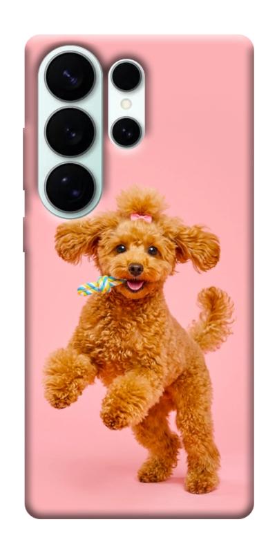 Чехол itsPrint Happy poodle для Samsung Galaxy S26 Ultra, песики, купить оптом с доставкой