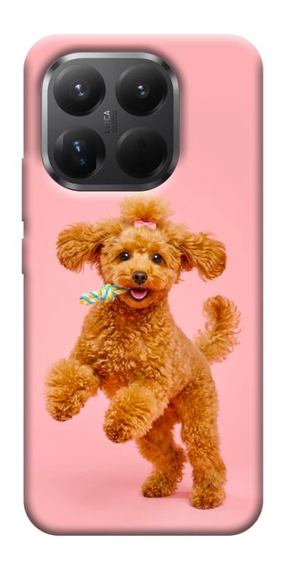 Чехол itsPrint Happy poodle для Xiaomi 15T Pro, песики, купить оптом с доставкой