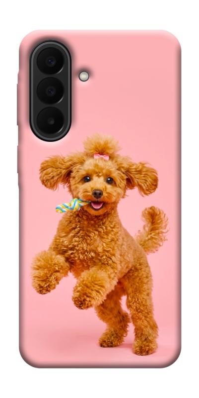 Чехол itsPrint Happy poodle для Samsung Galaxy A27, песики, купить оптом с доставкой