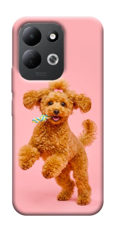 Чохол itsPrint Happy poodle для Xiaomi Redmi 17, песики, купити оптом з доставкою