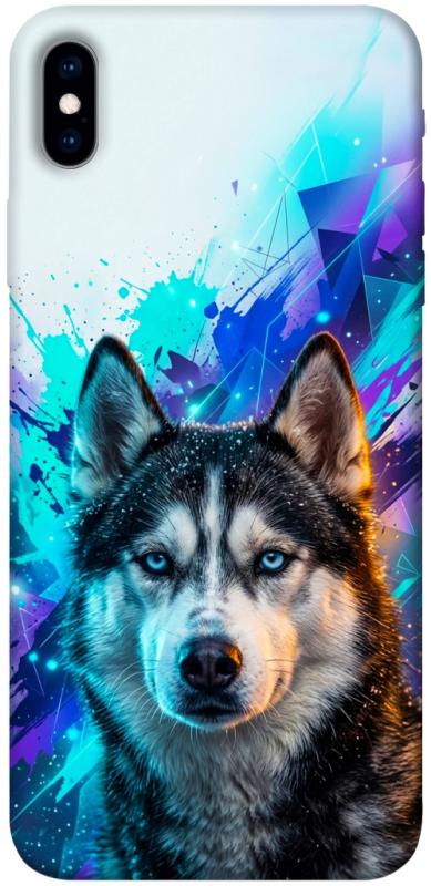 Чохол itsPrint Husky magic для Apple iPhone XS Max (6.5"), песики, купити оптом з доставкою