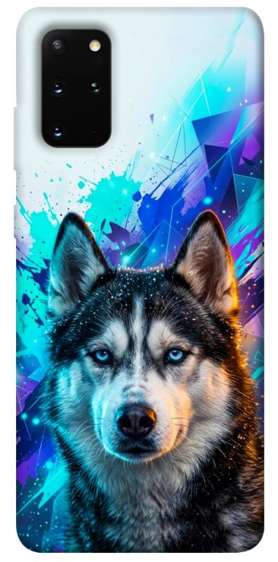 Чохол itsPrint Husky magic для Samsung Galaxy S20+, песики, купити оптом з доставкою
