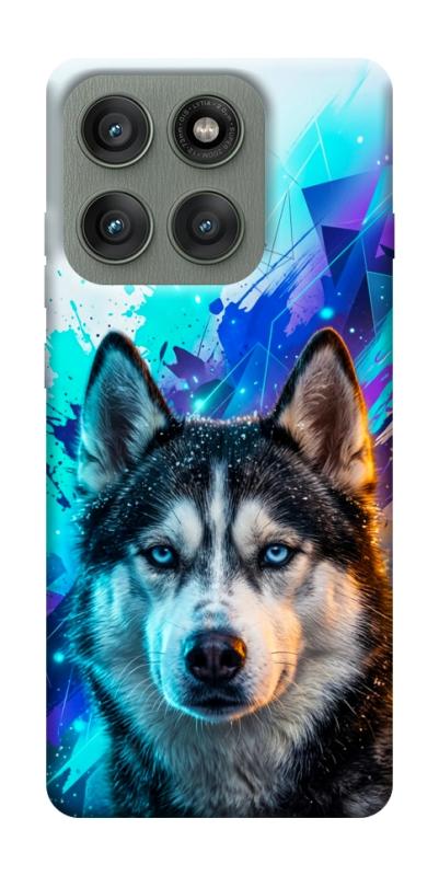 Чехол itsPrint Husky magic для Motorola Edge 60 Pro, песики, купить оптом с доставкой