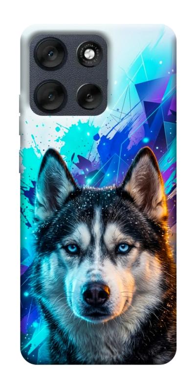 Чехол itsPrint Husky magic для Motorola Moto G56 5G, песики, купить оптом с доставкой