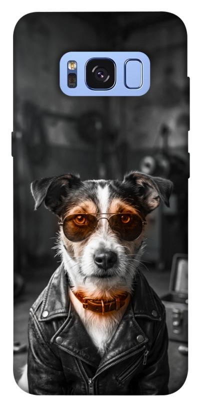 Чохол itsPrint Jack rassel для Samsung G950 Galaxy S8, песики, купити оптом з доставкою