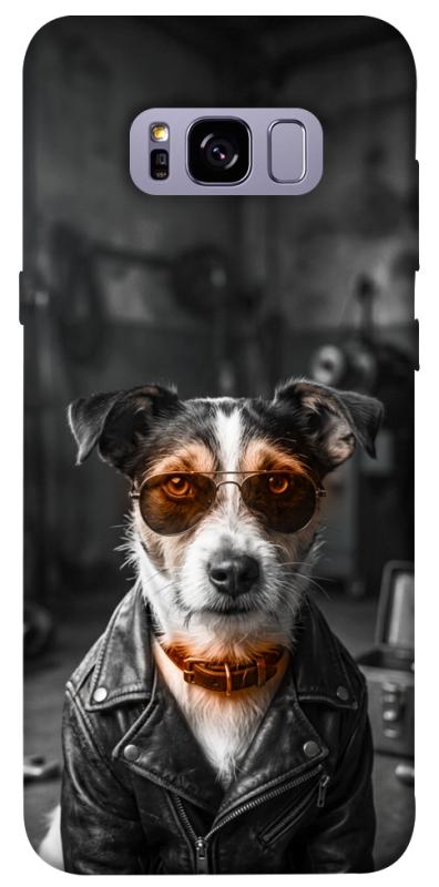 Чехол itsPrint Jack rassel для Samsung G955 Galaxy S8 Plus, песики, купить оптом с доставкой