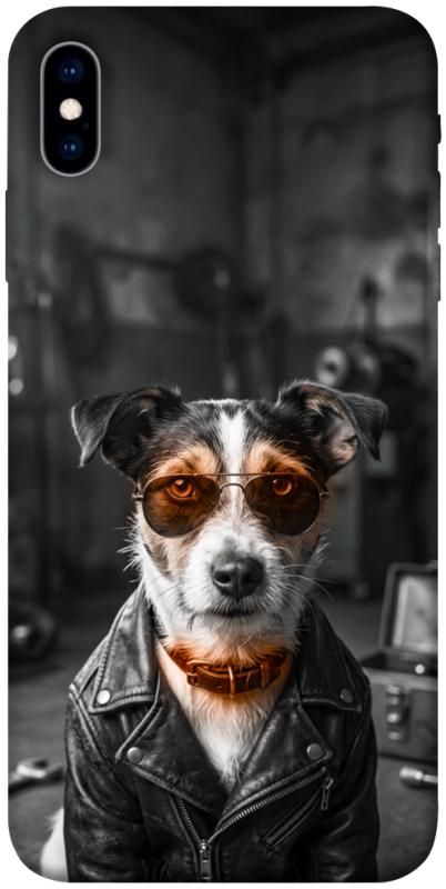 Чохол itsPrint Jack rassel для Apple iPhone X (5.8"), песики, купити оптом з доставкою