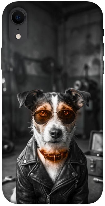 Чехол itsPrint Jack rassel для Apple iPhone XR (6.1"), песики, купить оптом с доставкой