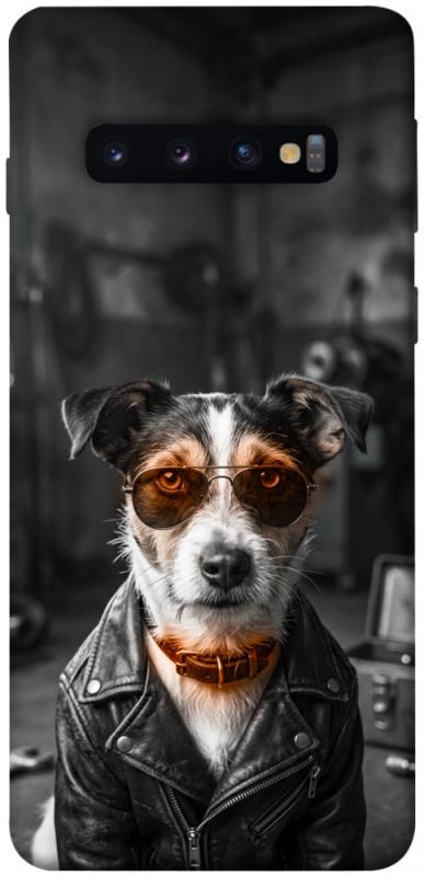 Чохол itsPrint Jack rassel для Samsung Galaxy S10, песики, купити оптом з доставкою