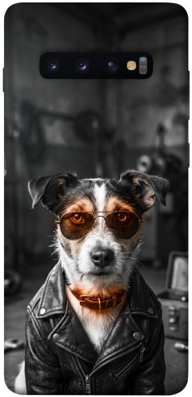 Чохол itsPrint Jack rassel для Samsung Galaxy S10+, песики, купити оптом з доставкою