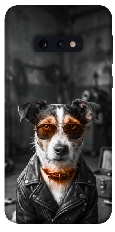 Чохол itsPrint Jack rassel для Samsung Galaxy S10e, песики, купити оптом з доставкою