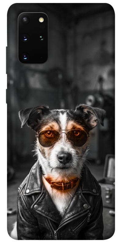 Чехол itsPrint Jack rassel для Samsung Galaxy S20+, песики, купить оптом с доставкой