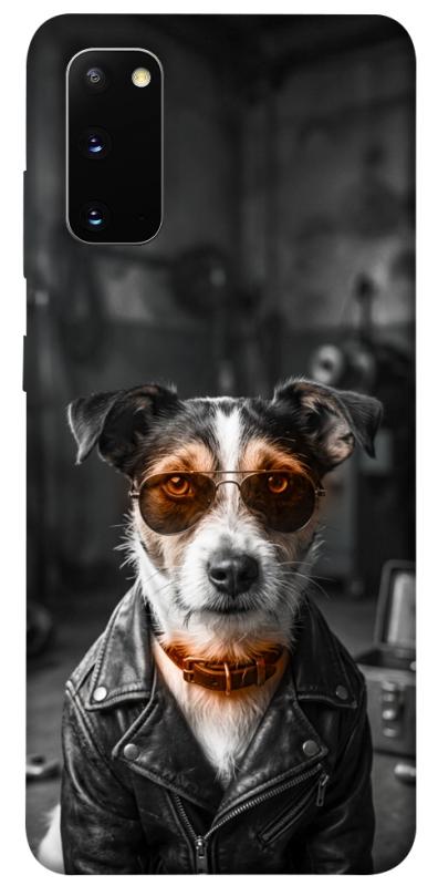 Чохол itsPrint Jack rassel для Samsung Galaxy S20, песики, купити оптом з доставкою