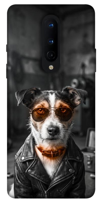 Чохол itsPrint Jack rassel для OnePlus 8, песики, купити оптом з доставкою