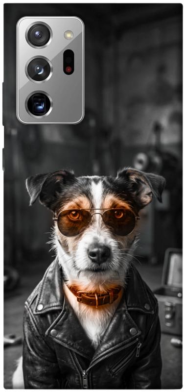 Чохол itsPrint Jack rassel для Samsung Galaxy Note 20 Ultra, песики, купити оптом з доставкою