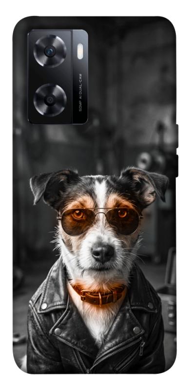 Чехол itsPrint Jack rassel для OnePlus Nord N20 SE, песики, купить оптом с доставкой